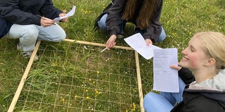 Powiększ grafikę: Grupa uczniów przy siatce w trakcie szacowania liczebności populacji roślinnej.
